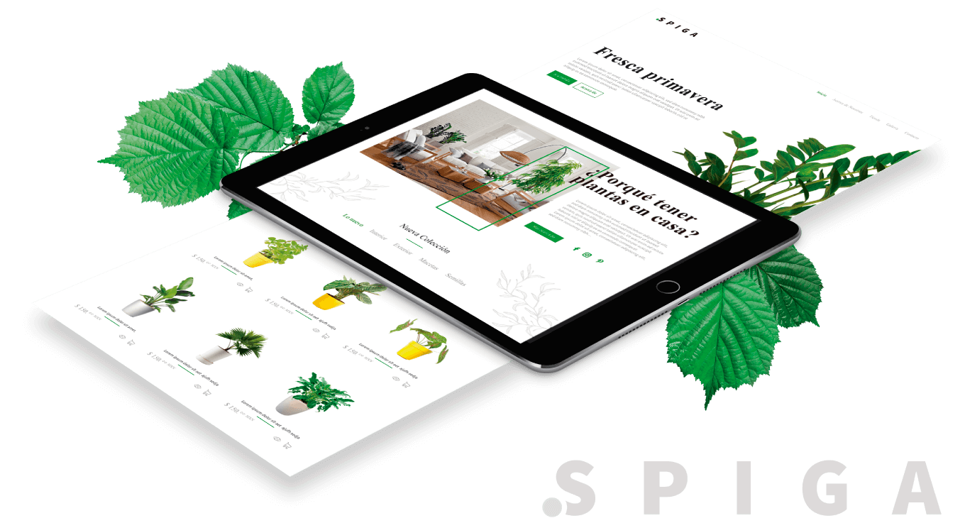 soluble-branding-proyectos-spiga-web-responsive-01