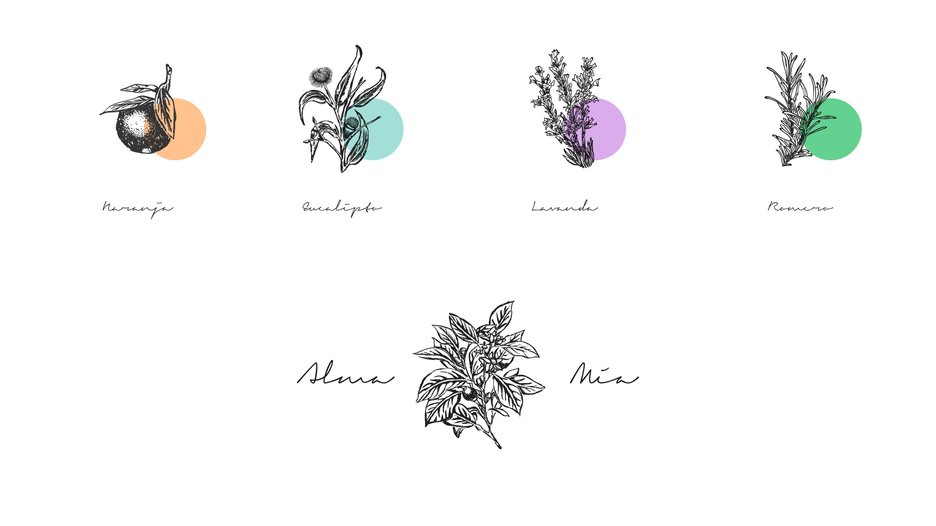 soluble-branding-proyectos-alma-mia-ilustraciones