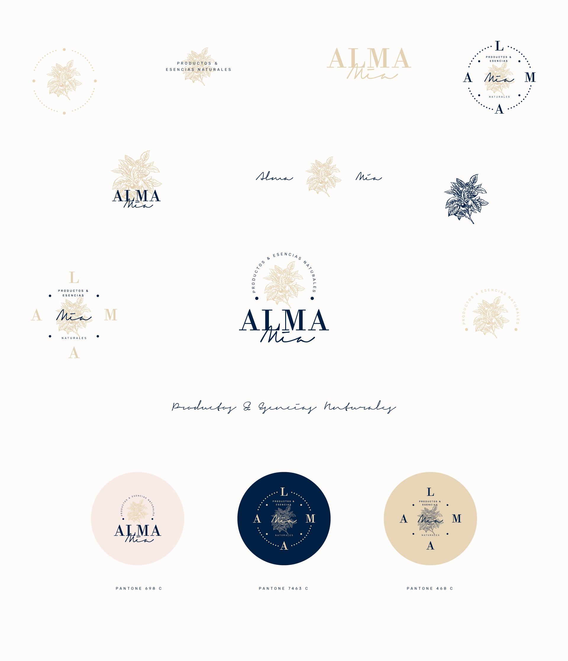 soluble-branding-proyectos-alma-mia-variantes-logotipo